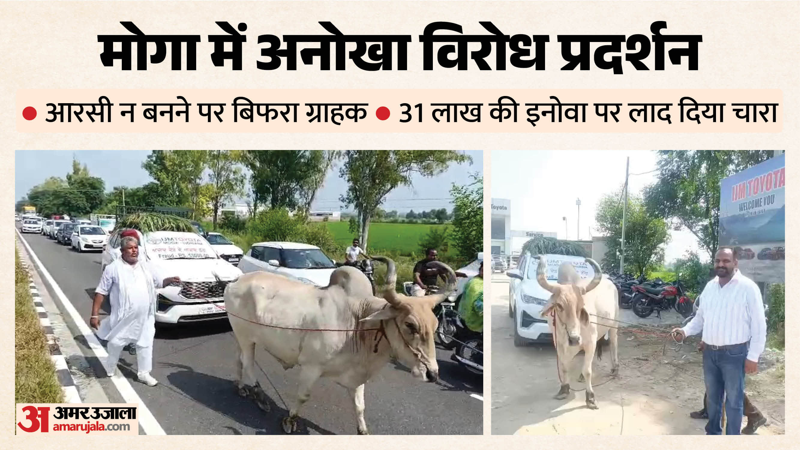 मोगा में बैल से खिंचवाई नई गाड़ी