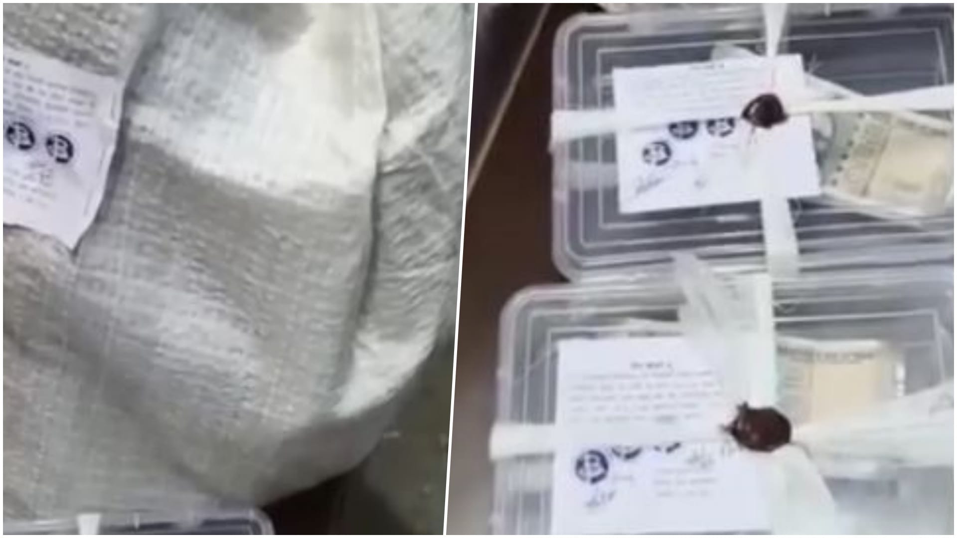 कोटपूतली पुलिस द्वारा बरामद नकली नोट व असली करेंसी