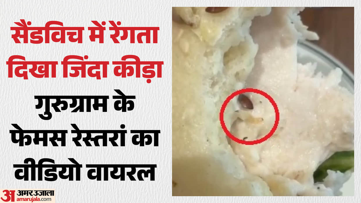 A live worm was seen crawling in a sandwich at a famous restaurant in Gurugram