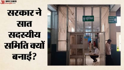 सरकार ने सात सदस्यीय समिति क्यों बनाई?