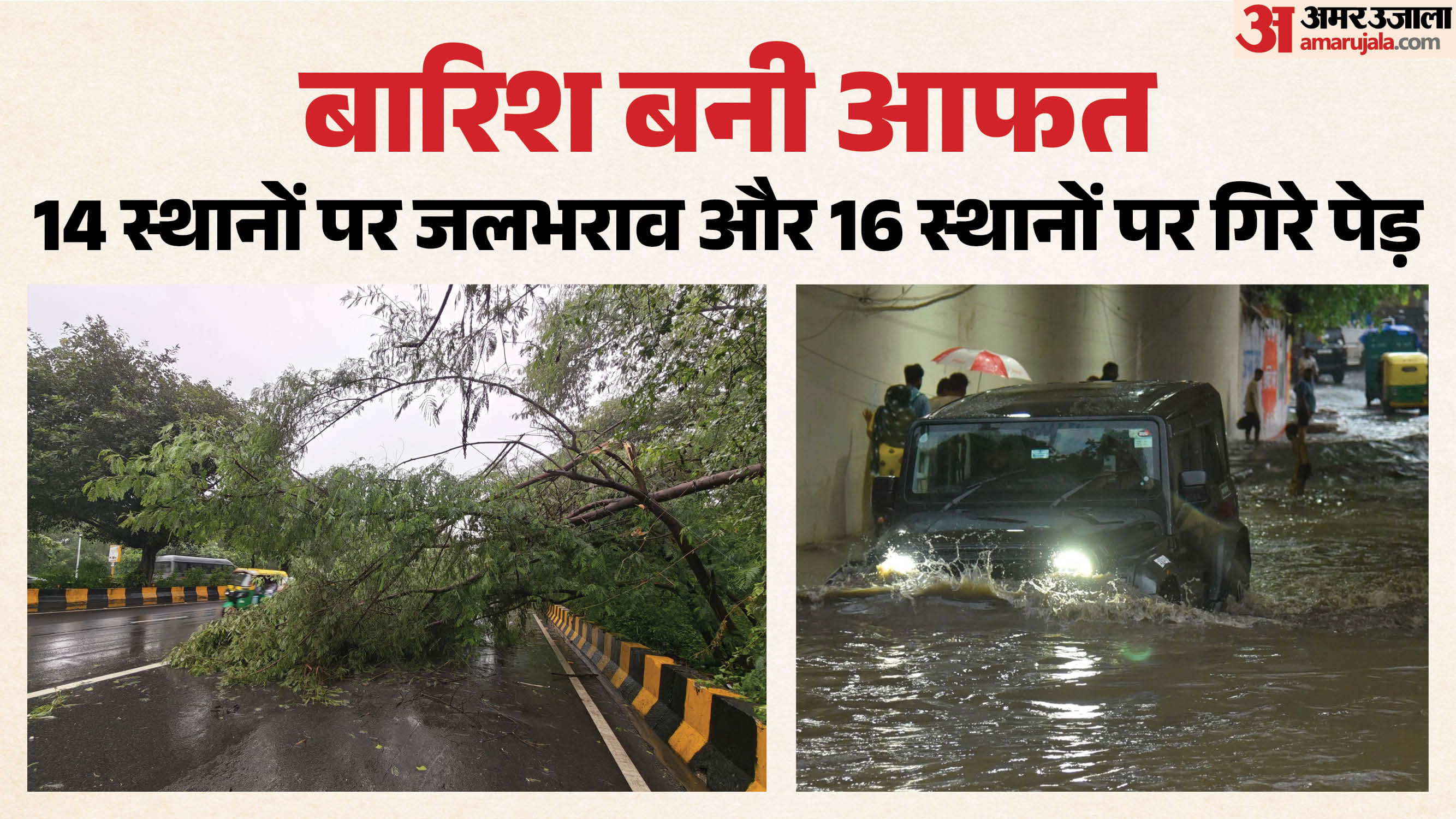 सड़क पर गिरा पेड़ और भरा पानी