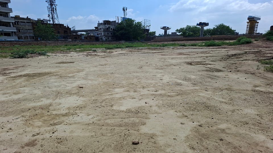 NGT Revives Agra College Green Tree Felling Case, Issues Notices to Seven Parties