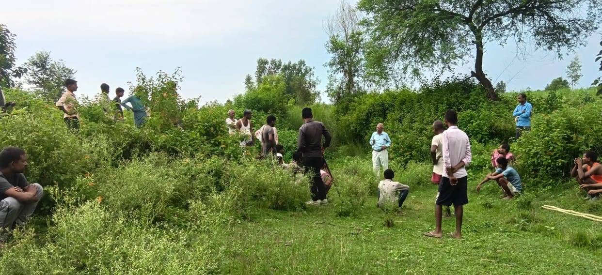 Leopard terror in Balrampur: Four sheep and a buffalo calf killed.