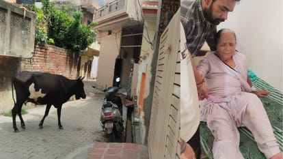 बुजुर्ग महिला
