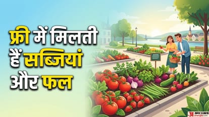 फ्री में मिलती हैं सब्जियां और फल