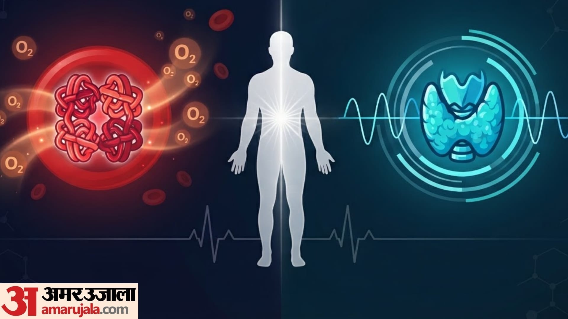 Health Checkup normal range of blood pressure Hemoglobin to blood sugar in human body