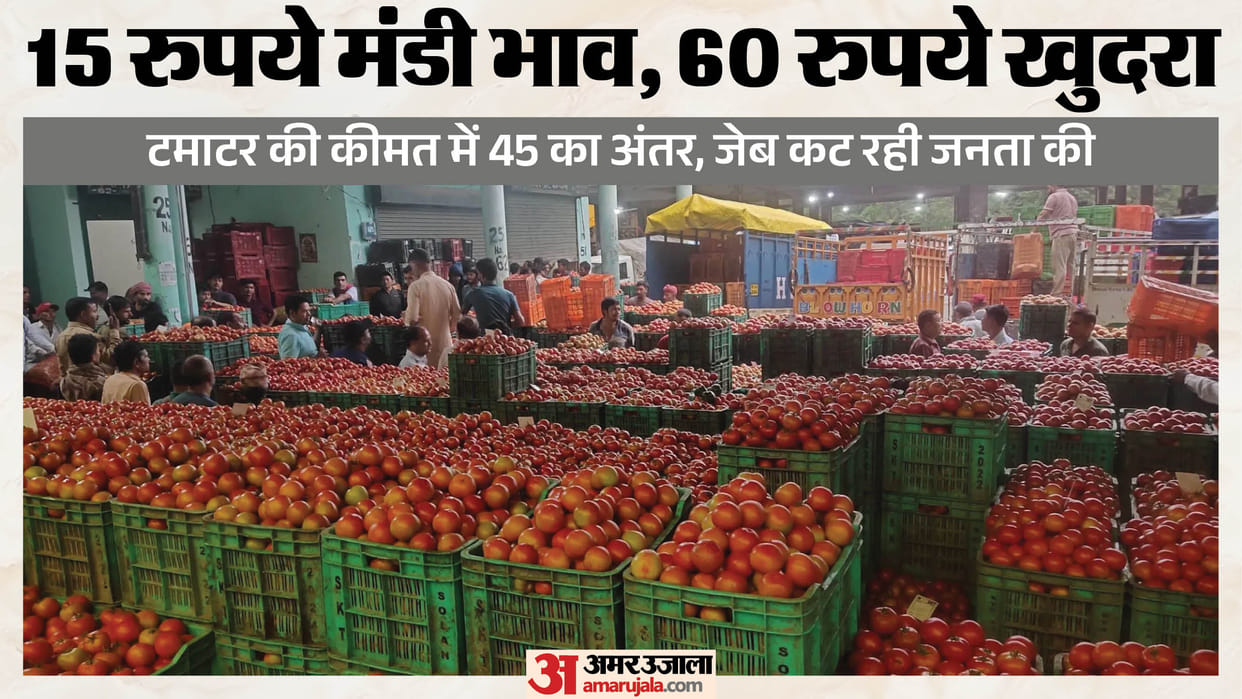 Tomatoes selling at rs 15 per kg in wholesale market available at rs60 per kg in Delhi shops