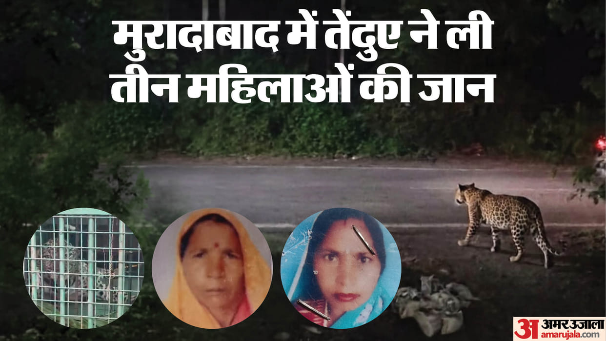 Leopard terror in Moradabad: Woman killed in front of her husband; attacked while weeding