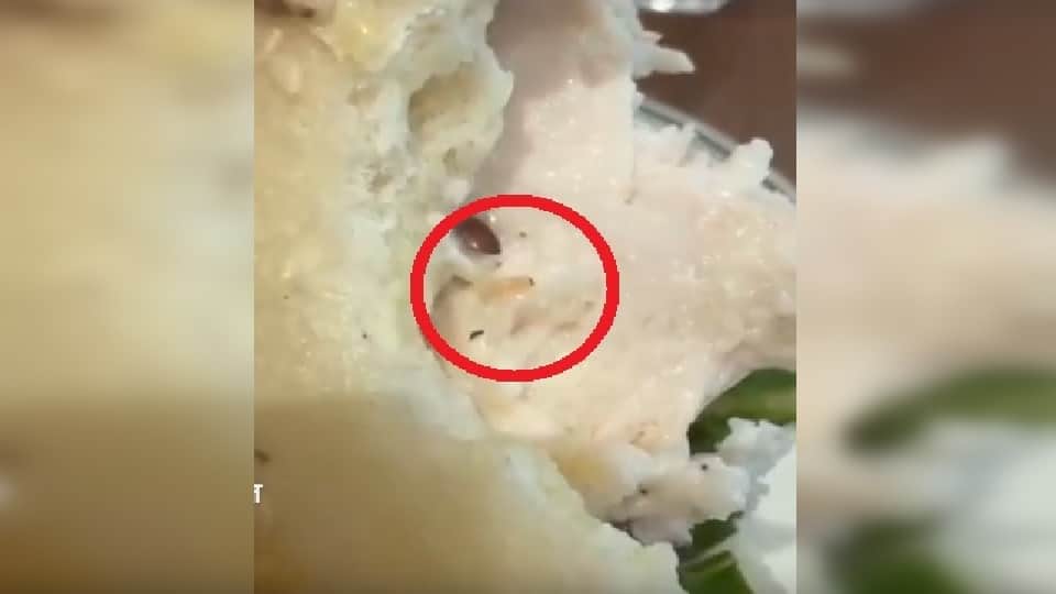 Live worm found in sandwich Food Safety Department team takes action