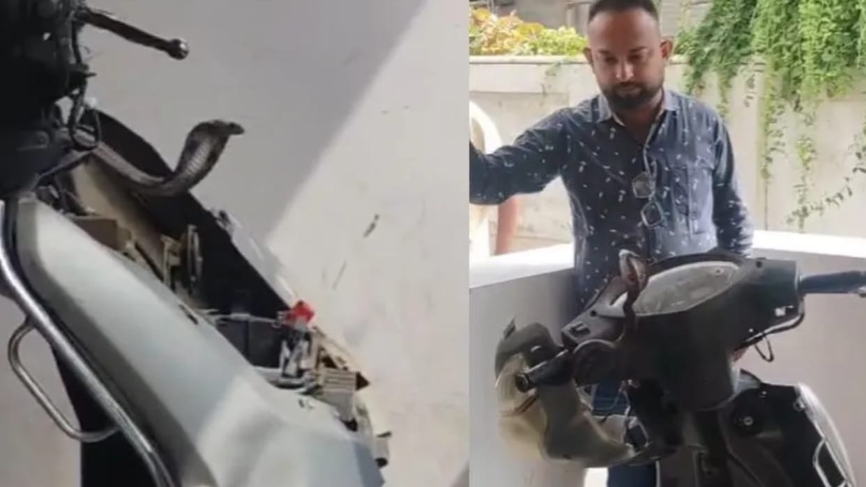 Cobra Found Inside Scooter in Vadodara Forest Department Rescues Snake