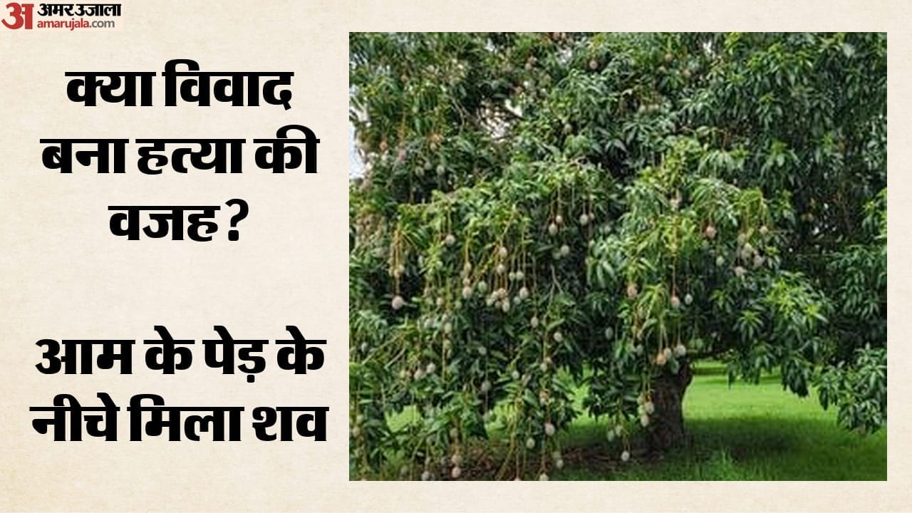युवक का शव आम के पेड़ के नीचे मिला।