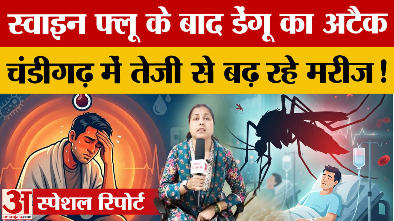 स्वाइन फ्लू के बाद चंडीगढ़ में डेंगू की दस्तक, अब तक 5 मरीज मिले