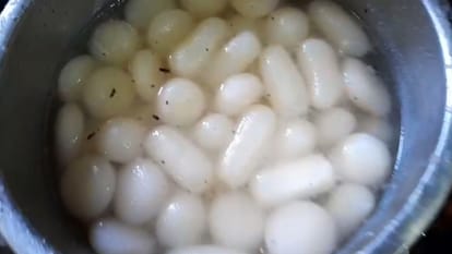 चाशनी में मिले कॉकरोच