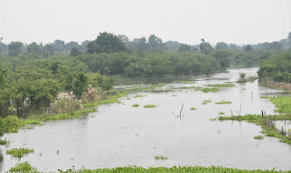 Flood threat in the Katri areas: Ganga's water level has crossed the warning mark