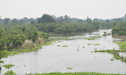 Flood threat in the Katri areas: Ganga's water level has crossed the warning mark
