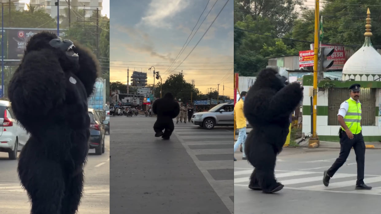 Mp indore gorilla stopping wrong side vehicles taught people road safety rules viral video