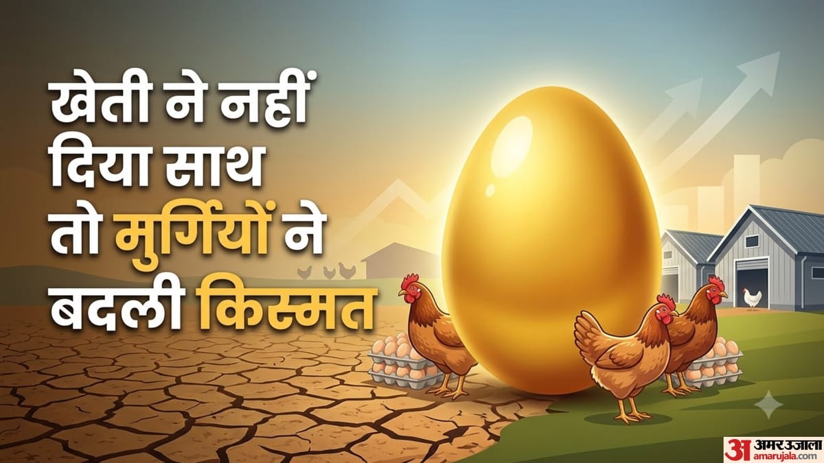 खेती नहीं हुई तो पाल ली मुर्गियां, देखते ही देखते खड़ा कर दिया करोड़ों अंडों का साम्राज्य