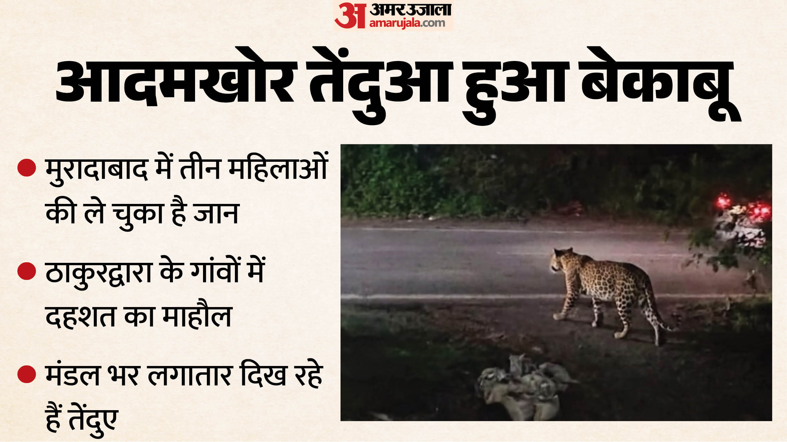 Moradabad leopard attack