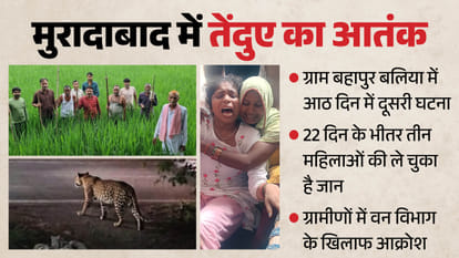 मुरादाबाद में आदमखोर तेंदुए का आतंक