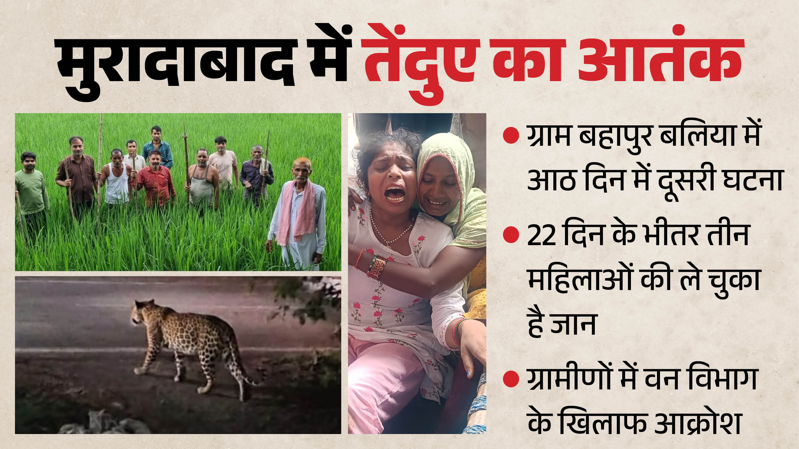 मुरादाबाद में आदमखोर तेंदुए का आतंक