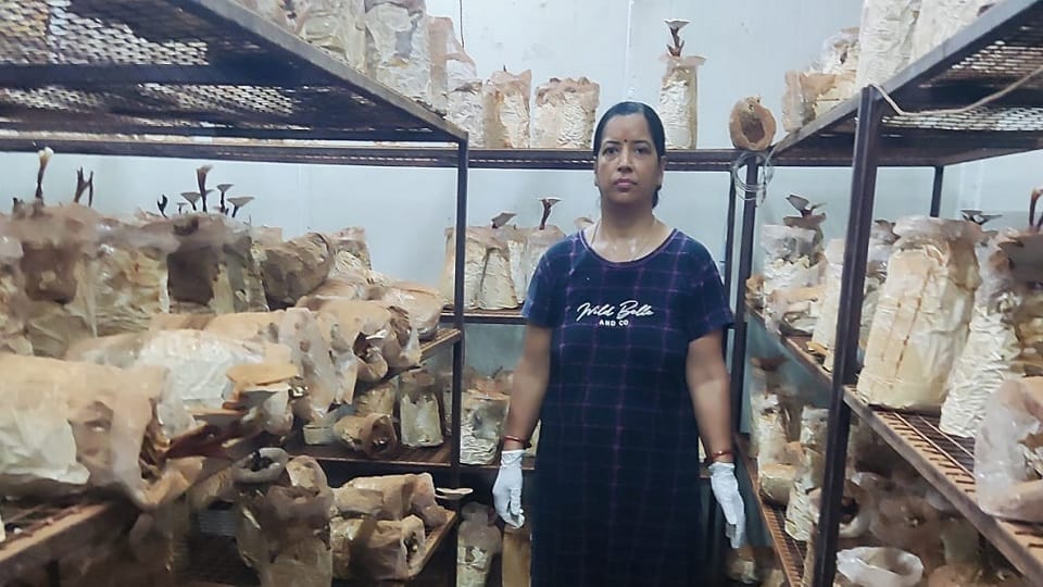 Deepa earned Rs 10-12 lakh annually from dairy and mushroom farming in kiccha