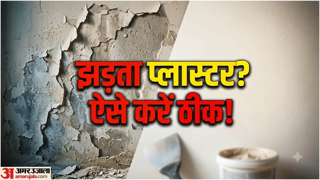 Home Wall Repair Tips: Paint and Plaster Coming Off the Wall? Know DIY Repair Method To Fix Damaged Wall