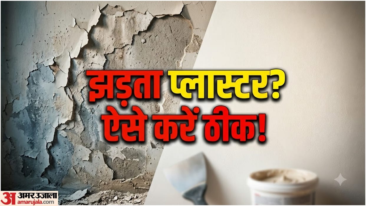 Home Wall Repair Tips: Paint and Plaster Coming Off the Wall? Know DIY Repair Method To Fix Damaged Wall