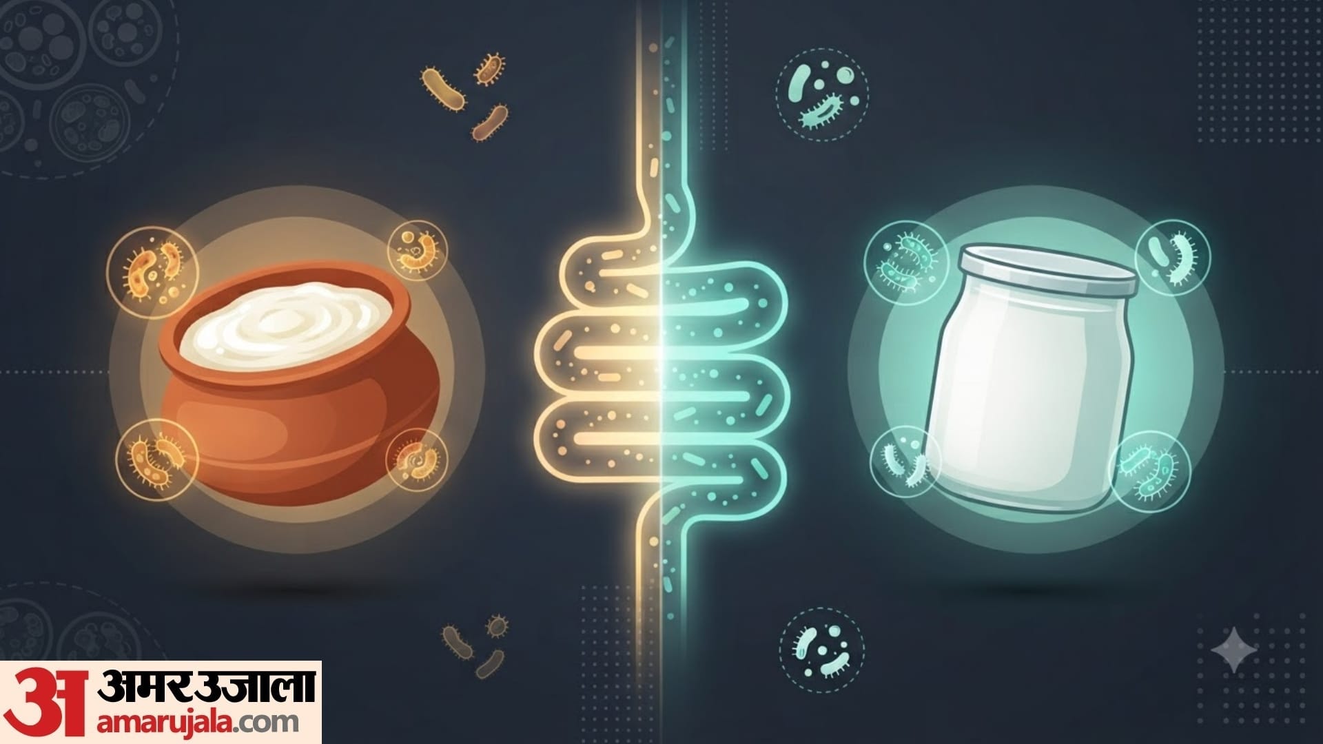 yogurt and curd which is better difference between yogurt and curd in hindi