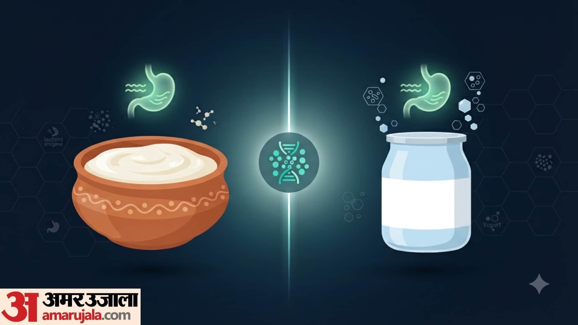 yogurt and curd which is better difference between yogurt and curd in hindi