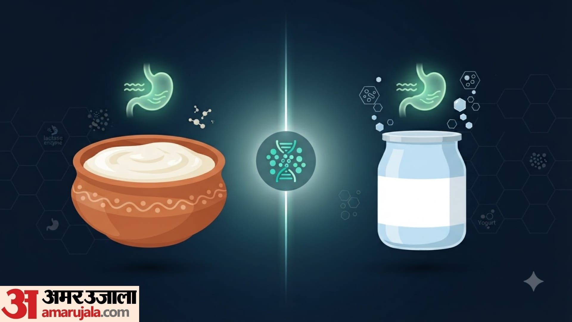 yogurt and curd which is better difference between yogurt and curd in hindi