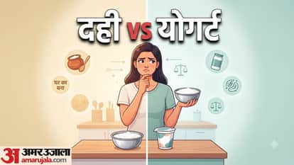 दही या योगर्ट, सेहत के लिए क्या खाएं?
