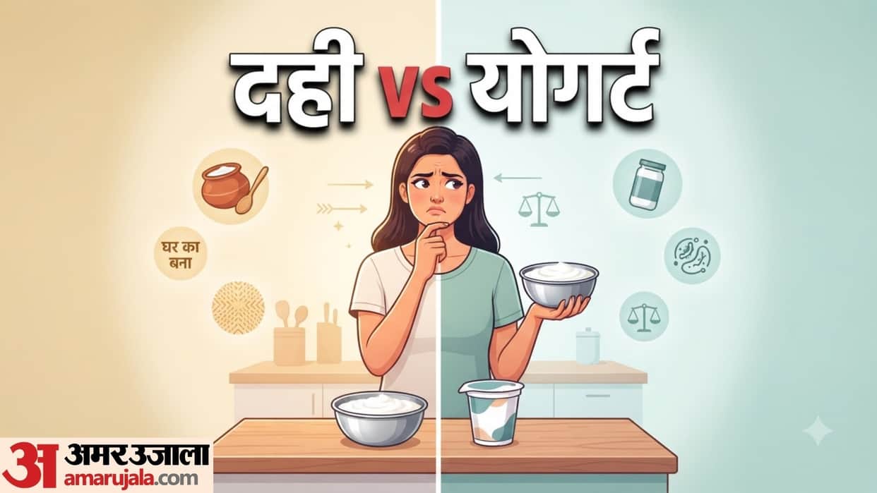 yogurt and curd which is better difference between yogurt and curd in hindi