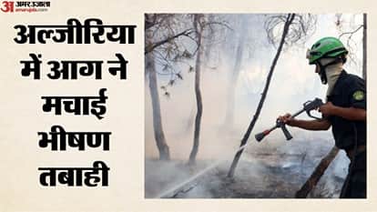 अल्जीरिया के जंगलों में लगी भीषण आग