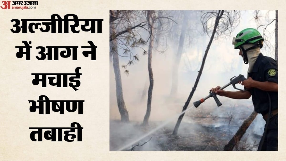 अल्जीरिया के जंगलों में भीषण आग, 12 की मौत; गृह मंत्री सयूद ने लिया रेस्क्यू का जायजा