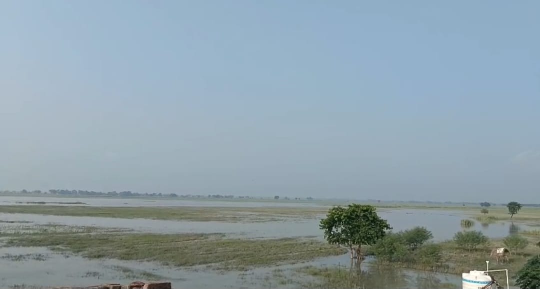 bihar flood alert live flash flood in gandak river latest update