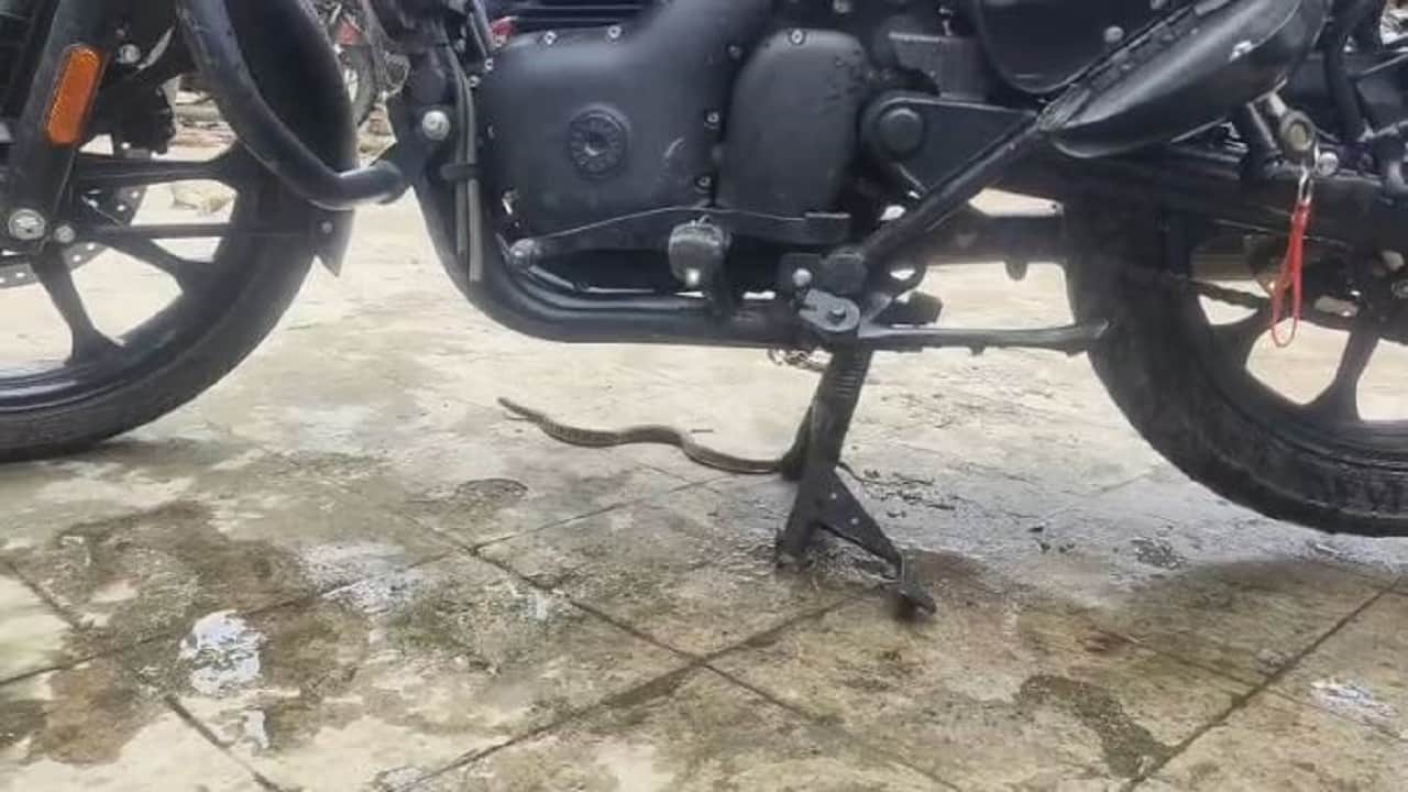बाइक के नीचे सांप
