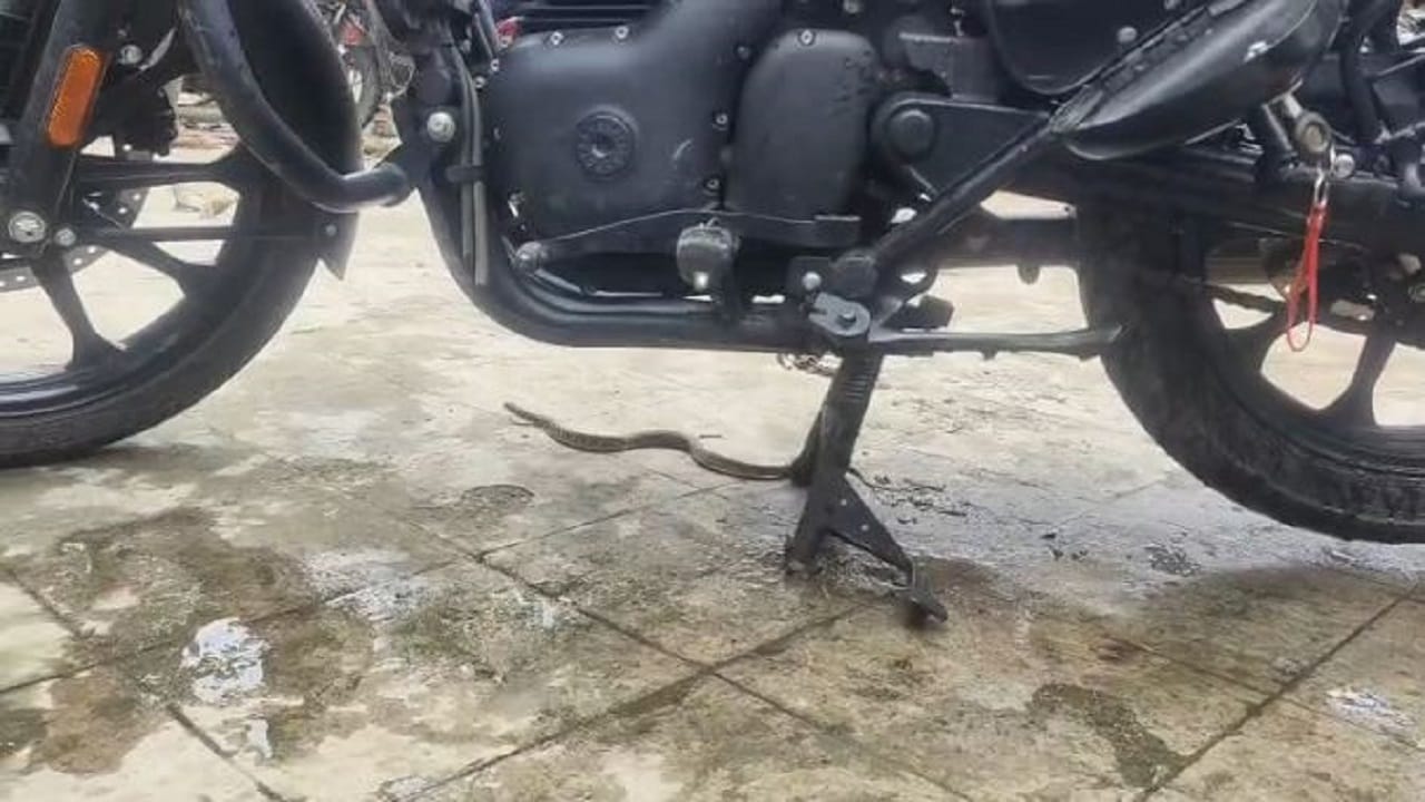 बाइक के नीचे सांप