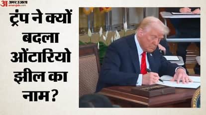 डोनाल्ड ट्रंप, अमेरिकी राष्ट्रपति