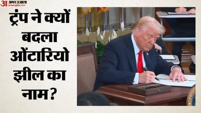 डोनाल्ड ट्रंप, अमेरिकी राष्ट्रपति