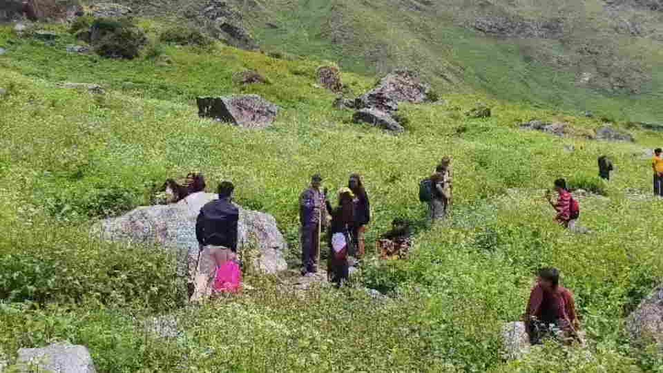 फूलों की घाटी में पर्यटक