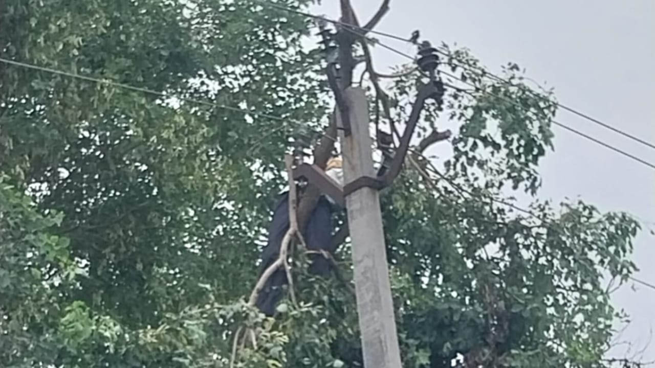हादसे के बाद पेड़ पर लटका शव