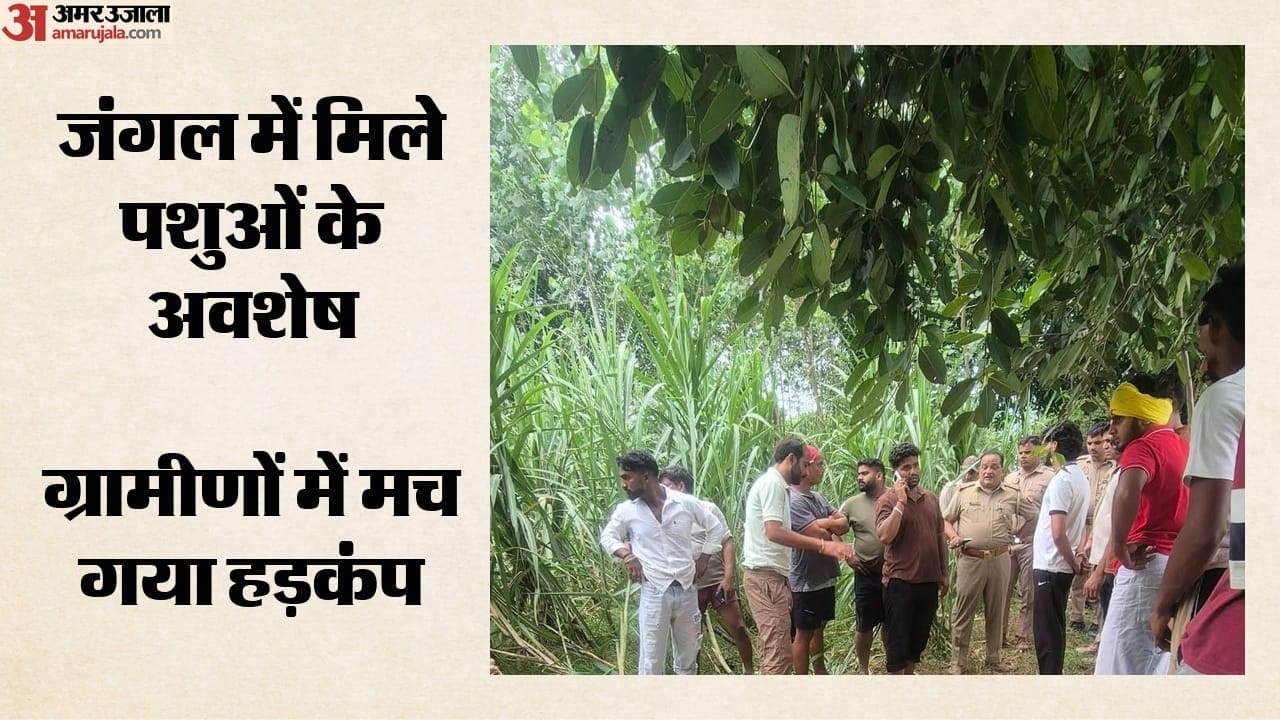 जंगल में पशु अवशेष मिलने से रोष