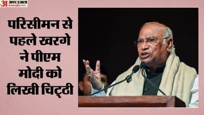 मल्लिकार्जुन खरगे, कांग्रेस नेता
