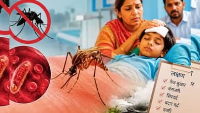 लखनऊ में डेंगू-मलेरिया का प्रकोप।