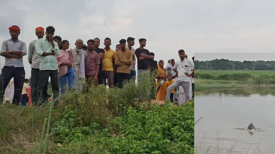 नहर में मिली डॉल्फिन, राप्ती में छोड़ते समय मौत