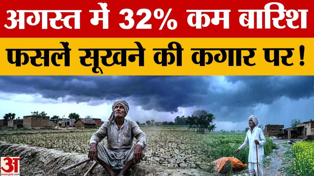पंजाब में मानसून की बेरुखी से किसानों की चिंता बढ़ी, 32% कम बारिश; धान की पैदावार घटने का खतरा