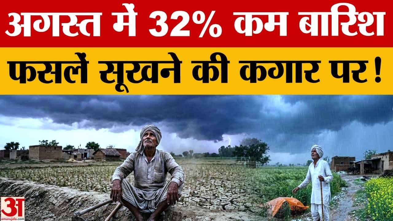 पंजाब में मानसून की बेरुखी से किसानों की चिंता बढ़ी, 32% कम बारिश; धान की पैदावार घटने का खतरा