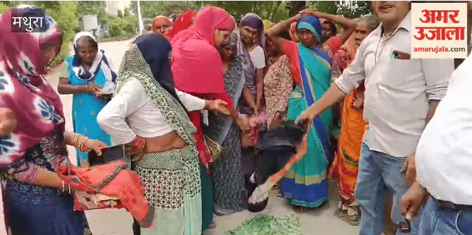 Mathura Saree Row: Old Sarees Distributed to Women, Probe Ordered