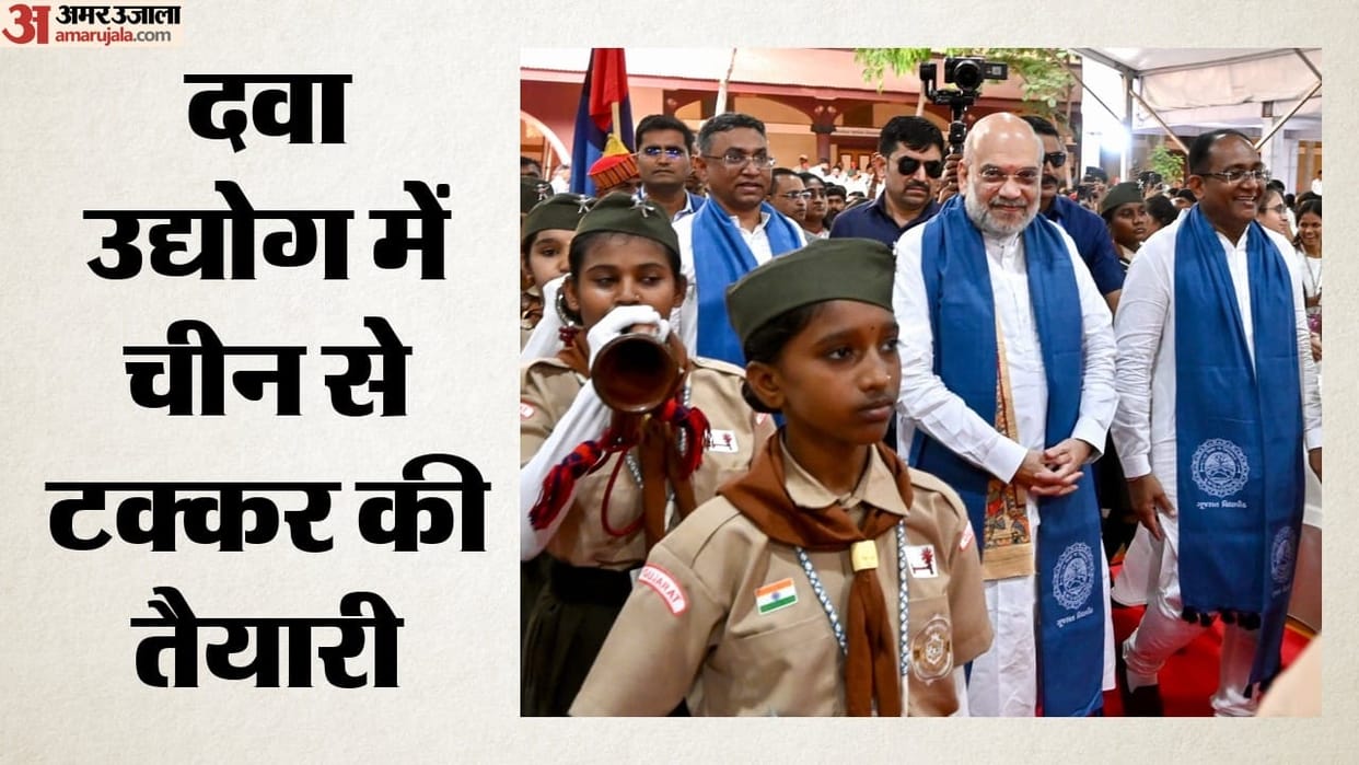 Pharma sector is India's strategic asset, says Amit Shah, stresses need for innovation