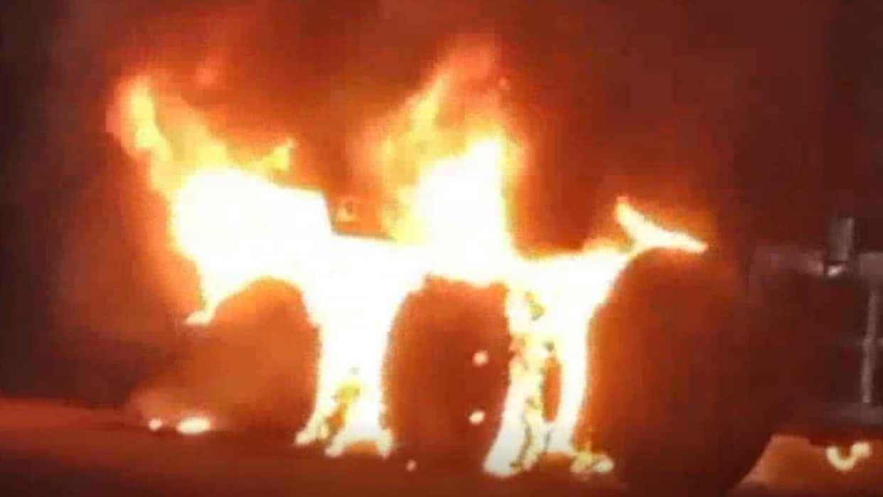 Dhar: Wheat-Laden Trailer Catches Fire at Ganpati Ghat, Grain Worth Lakhs Gutted; Major Mishap Averted